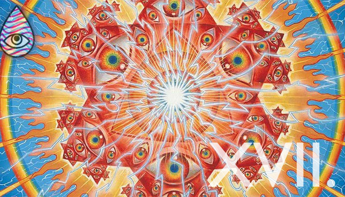Mind Meld 17 | Rick Strassman, THE STRASSMAN BIBLE