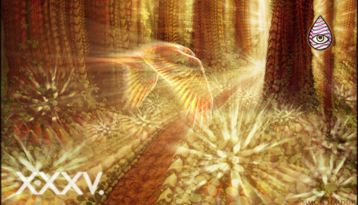 Mind Meld 35 |Tales of the Vine with Master Shaman, Hamilton Souther