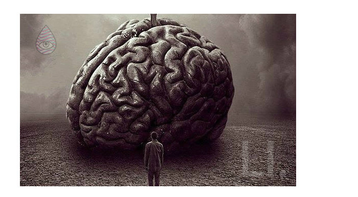 Mind Meld 51 | Neuroscientist Dr. Andrew Hill Hacks Brains