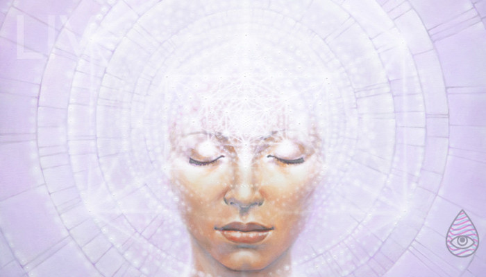 Mind Meld 54 | Creativity Paradox with Autumn Skye Morrison