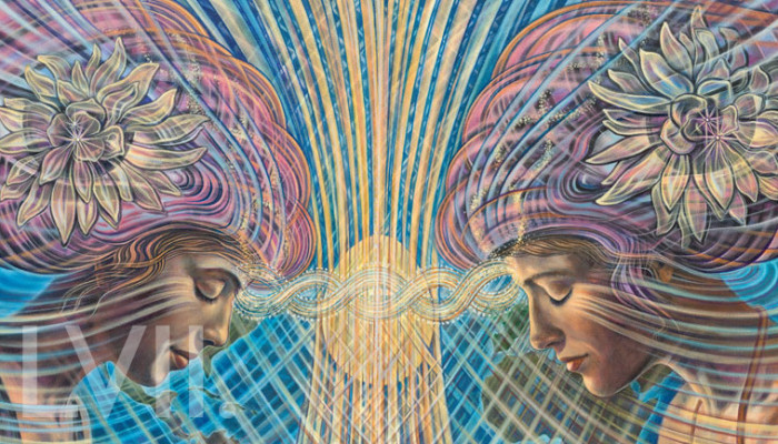 Mind Meld 57 | Interconnected Separateness with Amanda Sage