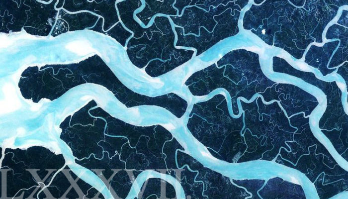 Mind Meld 87 | The Wellness Cipher with Scott Carney
