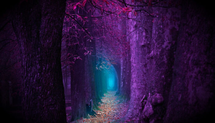 A Soliloquy for the Modern Mystic – An Extended Ramble on Self-Realization