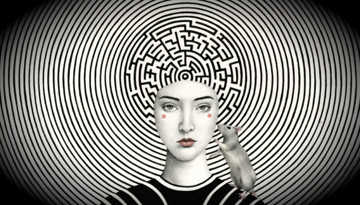 Mind Meld 97 |The Orchestra of Everything with Cory Allen
