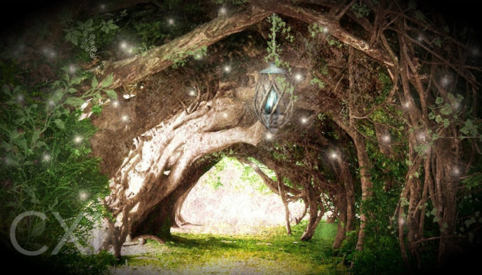 Mind Meld 111 | The Chasm of Disbelief with Master Shaman, Hamilton Souther