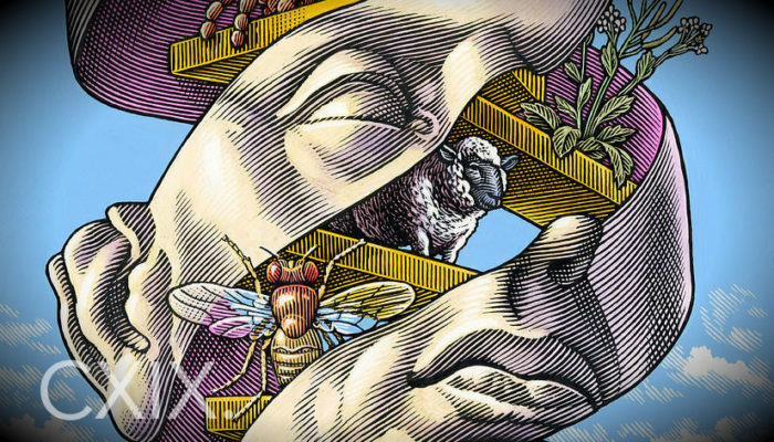 Mind Meld 119 | Reading the Language of God with Biologist, Ellen Jorgensen