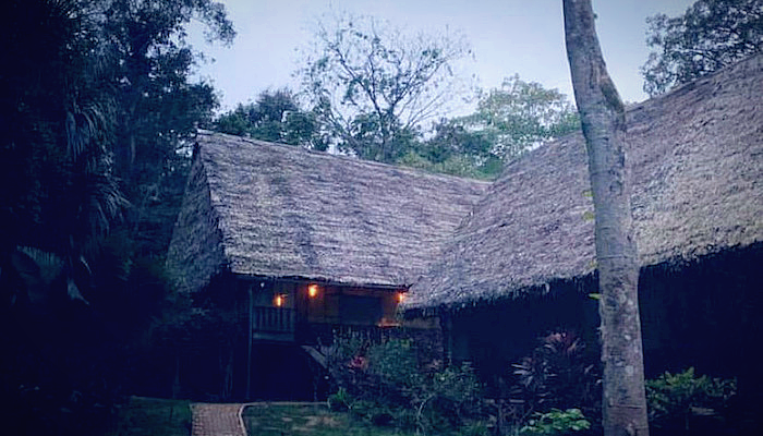 AYAHUASCA ADVENTURE 2 | Hamilton Souther & Colin Frangicetto